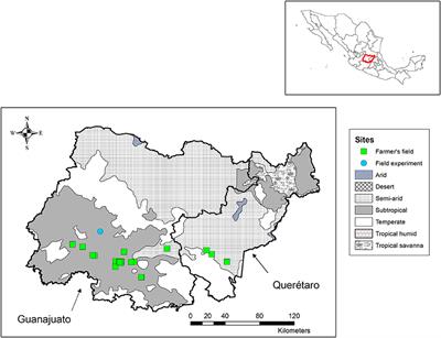 Reduced Water Use in Barley and Maize Production Through Conservation Agriculture and Drip Irrigation